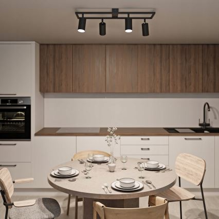 Spot 4xGU10/30W/230V noir