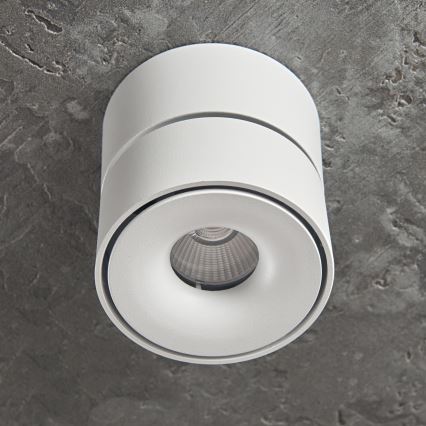 Spot à intensité variable LAHTI MINI LED/9W/230V 3000K CRI 90 blanc