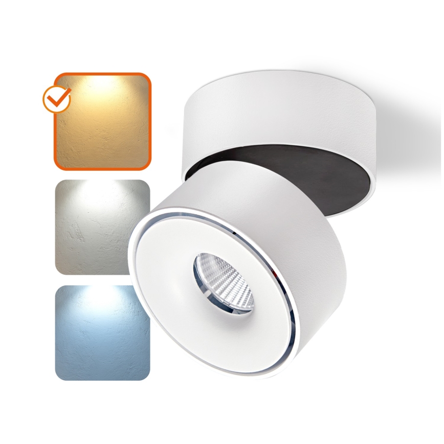 Spot à intensité variable LAHTI MINI LED/9W/230V 3000K CRI 90 blanc