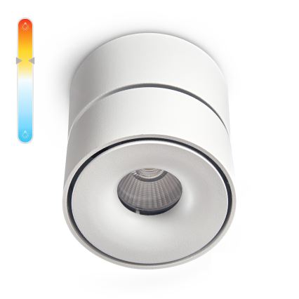Spot à intensité variable LAHTI MINI LED/9W/230V 3000K CRI 90 blanc