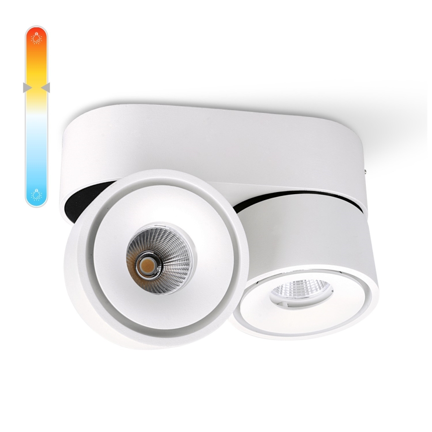 Spot à intensité variable LED LAHTI MINI 2xLED/9W/230V 3000K CRI 90 blanc