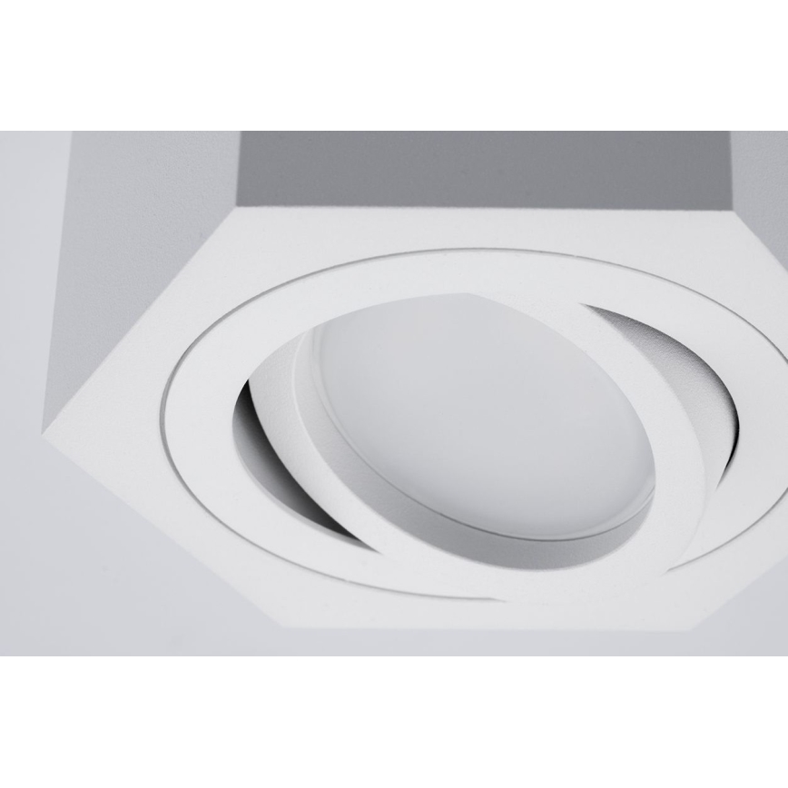 Spot ARENO 1xGU10/30W/230V blanc