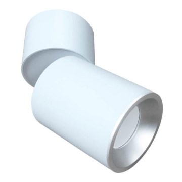 Spot ASTRA 1xGU10/10W/230V blanc/argent