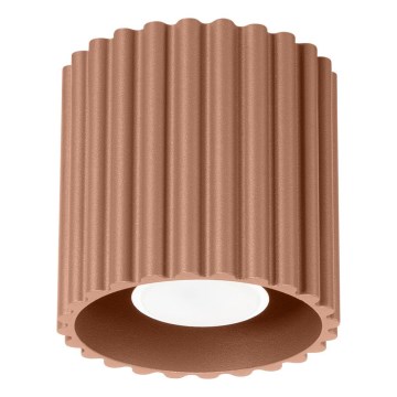 Spot AURA 1xGU10/10W/230V Ø 10 cm marron