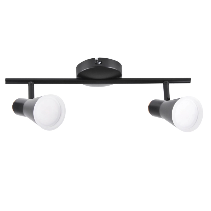 Spot BERG 2xLED/4,2W/230V noir
