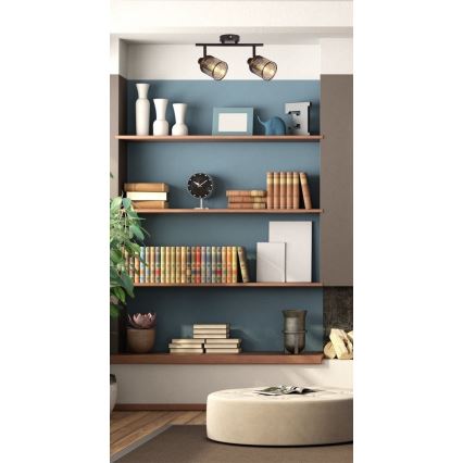 Spot CANABERA 2xE14/40W/230V