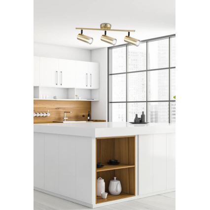 Spot COLLY 3xGU10/15W/230V doré