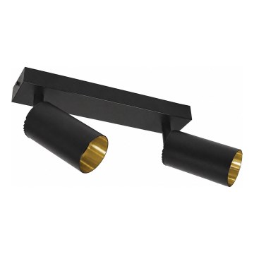 Spot d'éclairage FILO 2x GU10 30 W 230 V noir/doré