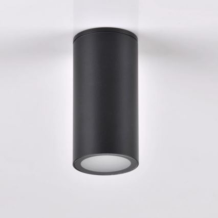 Spot d'extérieur ATLANTA 1xGU10/10W/230V IP54 noir