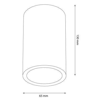 Spot d'extérieur ATLANTA 1xGU10/10W/230V IP54 noir