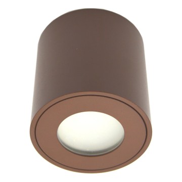 Spot d'extérieur FARA 1xGU10/30W/230V IP54 marron