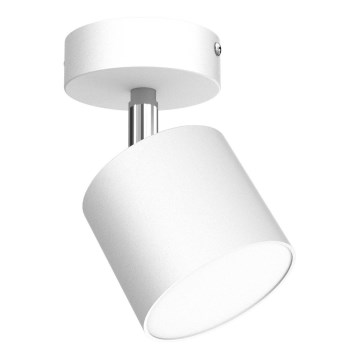 Spot DIXIE 1xGX53/11W/230V blanc