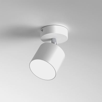 Spot DIXIE 1xGX53/11W/230V blanc