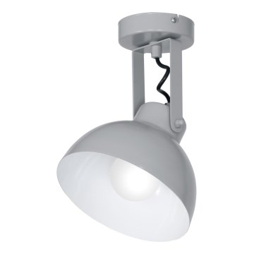 Spot EINAR 1xE27/60W/230V