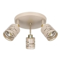Spot ELEN 3xE27/35W/230V beige/doré