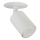 Spot encastrable NEX 1xGU10/10W/230V blanc
