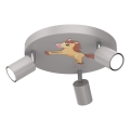 Spot enfant FUN 3xGU10/8W/230V gris/cheval