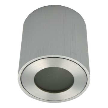 Spot extérieur FARA 1xGU10/30W/230V IP54 argenté