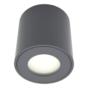 Spot extérieur FARA 1xGU10/30W/230V IP54 noir