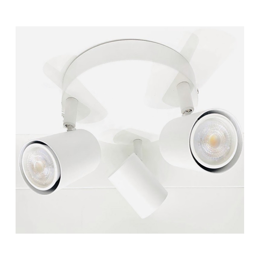 Spot FARGO 3xGU10/30W/230V blanc
