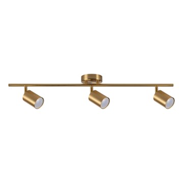 Spot GOLDIE 3xGU10/10W/230V doré