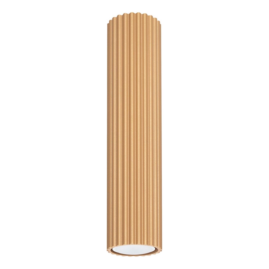 Spot KARBON 1xGU10/10W/230V 30 cm doré