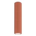 Spot KARBON 1xGU10/10W/230V 30 cm rouge