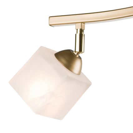 Spot KLARA 2xE14/40W/230V doré