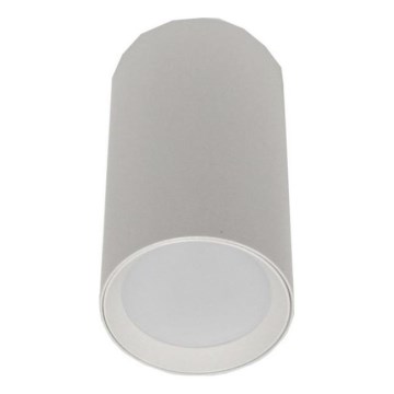 Spot KROSO 1xGU10/30W/230V blanc