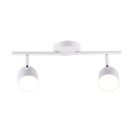 Spot KUBIK 2xLED/4,2W/230V blanc