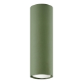Spot LAGOS 1xGU10/10W/230V 20 cm vert