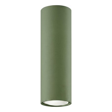 Spot LAGOS 1xGU10/10W/230V 20 cm vert