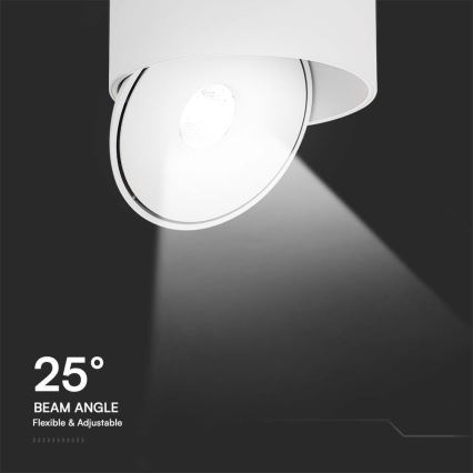 Spot LED/20W/230V 3000/4000/6400K CRI 90 blanc