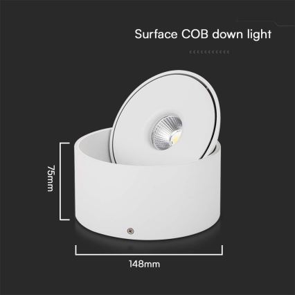 Spot LED/20W/230V 3000/4000/6400K CRI 90 blanc