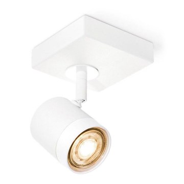 Spot LED à intensité variable MANU 1xGU10/5,8W/230V blanc