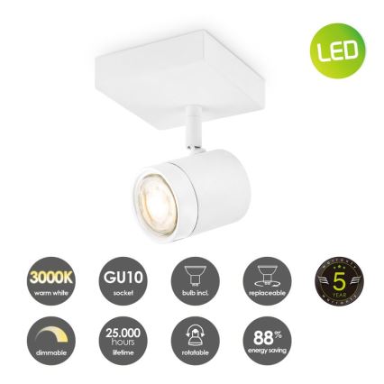 Spot LED à intensité variable MANU 1xGU10/5,8W/230V blanc