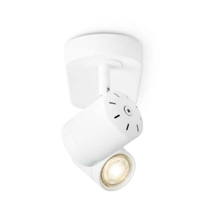 Spot LED à intensité variable MANU 2xGU10/5,8W/230V blanc