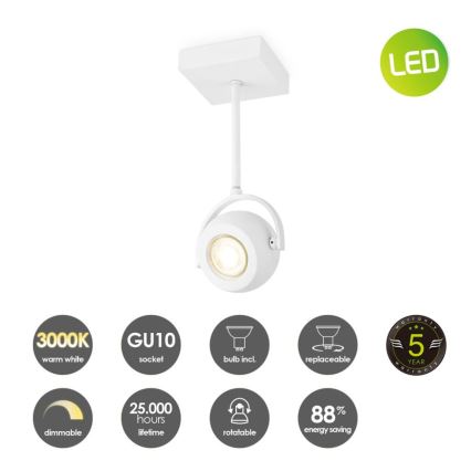 Spot LED à intensité variable NOP 1xGU10/5,8W/230V blanc