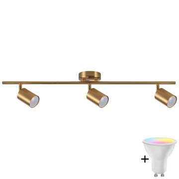 Spot LED RGBW dimmable GOLDI 3xGU10/6,5W/230V 2700-6500K Wi-Fi doré
