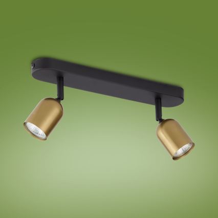 Spot LED RGBW dimmable TOP 2xGU10/6,5W/230V 2700-6500K doré/noir