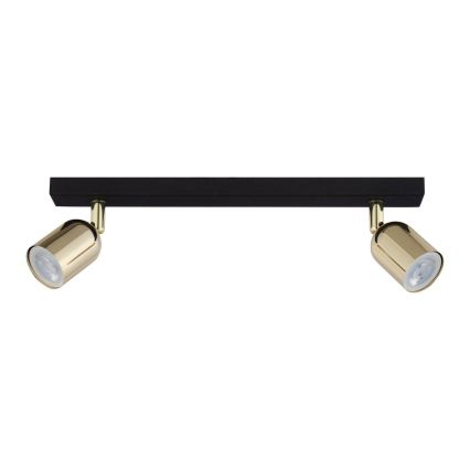 Spot LED RGBW dimmable TOP 2xGU10/6,5W/230V 2700-6500K noir/doré