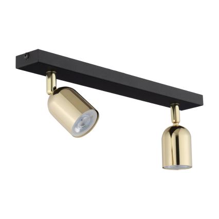 Spot LED RGBW dimmable TOP 2xGU10/6,5W/230V 2700-6500K noir/doré