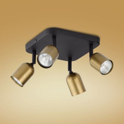 Spot LED RGBW dimmable TOP 4xGU10/6,5W/230V 2700-6500K doré/noir