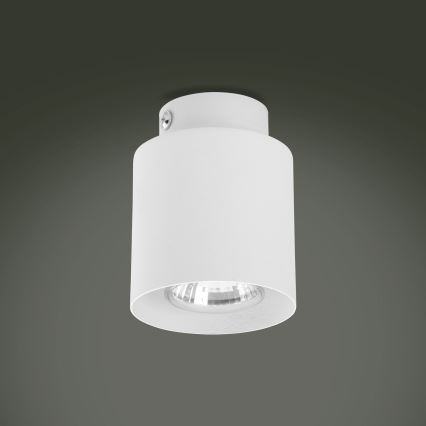 Spot LED RGBW dimmable VICO WHITE 1xGU10/6,5W/230V 2700-6500K