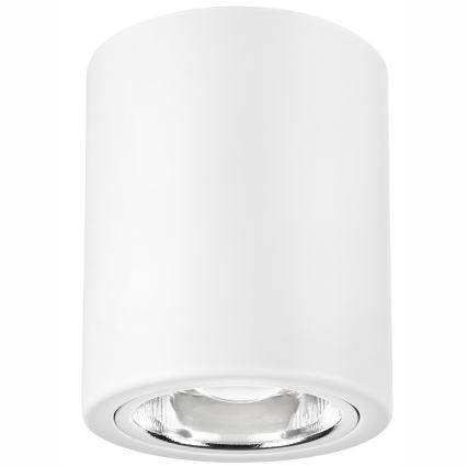 Spot LED TACO 1xE27/15W/230V blanc