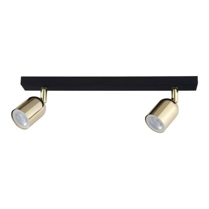 Spot LED TOP 2xGU10/10W/230V noir/doré