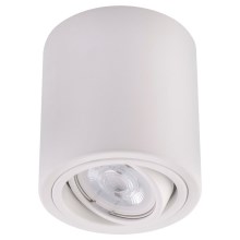 Spot LED TUBA 1xGU10/5W/230V 2700K blanc