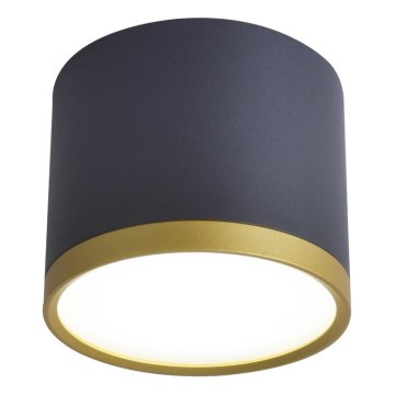 Spot LED TUBA LED/9W/230V noir/or