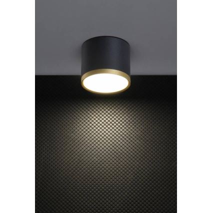 Spot LED TUBA LED/9W/230V noir/or