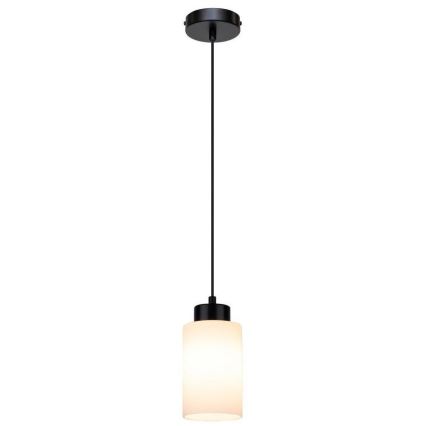 Suspension filaire BOSCO 1xE27/60W/230V - certifié FSC